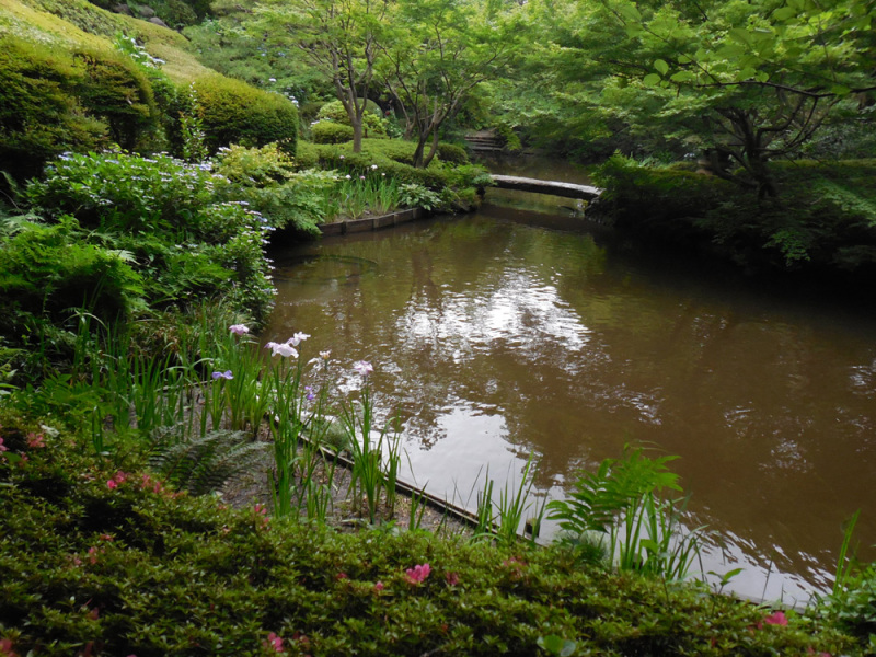 池田山公園の湧水池。　岡山藩池田家下屋敷跡で深い谷と湧水を取り込む池泉回遊式庭園として整備されています