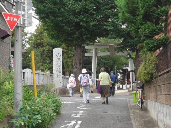 稲穂神社鳥居前、此処にはウバメカシの古木があります