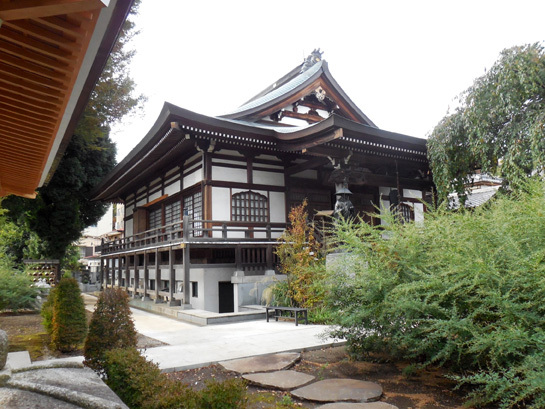 金蔵院、真言宗豊山派の古いお寺です。境内には樹齢300年以上と云われる大ケヤキが２本ある