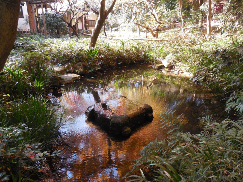 湧水を導いた池、紅葉を映しています
